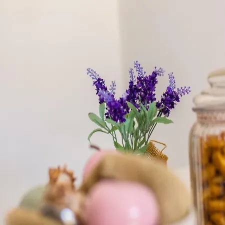 In - Insel Krk 36858 * Vrbnik (Primorje-Gorski Kotar)